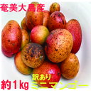 奄美大島産 ミニマンゴー 約1kg 小玉 C品 ご家庭用【訳あり 黒点あり 傷あり 色ムラあり 不揃い】送料無料 (東北 北海道 沖縄+500円)冷蔵便