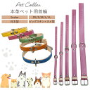 【送料無料】本革 犬用首輪 SSサイズ|超小型犬・小型犬用|カラフル×メタリックレザー|軽量・日本製|ピッグスキン×ヌメ革