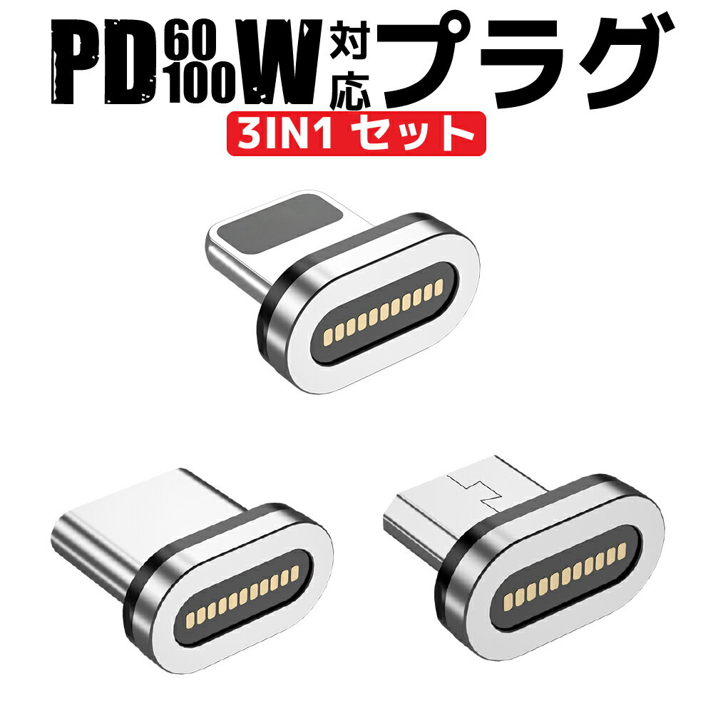 ʪޥ饽P10/PD60w100W б ֥°̵ ®šܥǡ̿ǽ PD ץ饰 ü ޥͥå 3IN1...