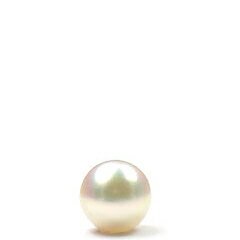 パール 真珠 あこや ルース 片穴 ラウンド ホワイト系 5.0-5.5mm アコヤ真珠
