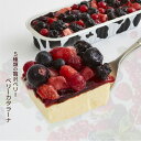 新発売 ベリーカタラーナ1本 16.5cm お取り寄せスイー...