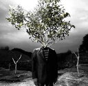  CD 9mm Parabellum Bullet Revolutionary 通常盤 特典なし 新品ケース交換 送料無料 TOCT-26959