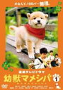 【バーゲンセール】【中古】DVD▼連続テレビドラマ版 幼獣マメシバ 1(第1話〜第4話) レンタル落ち