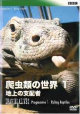 ��SALE!�ۡ���š�DVD��BBC ���������� 1 �Ͼ�λ��ۼ� ����Τ� ��󥿥����