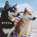 【全品ポイント20倍!】【中古】CD▼ALIVE 通常盤 レンタル落ち