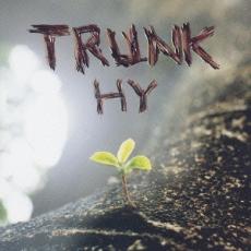 乐天商城 - 【バーゲンセール】【中古】CD▼TRUNK レンタル落ち