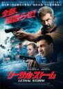 【バーゲンセール】【中古】DVD▼リーサル・ストーム レンタル落ち