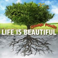 乐天商城 - 【バーゲンセール】【中古】CD▼LIFE IS BEAUTIFUL レンタル落ち