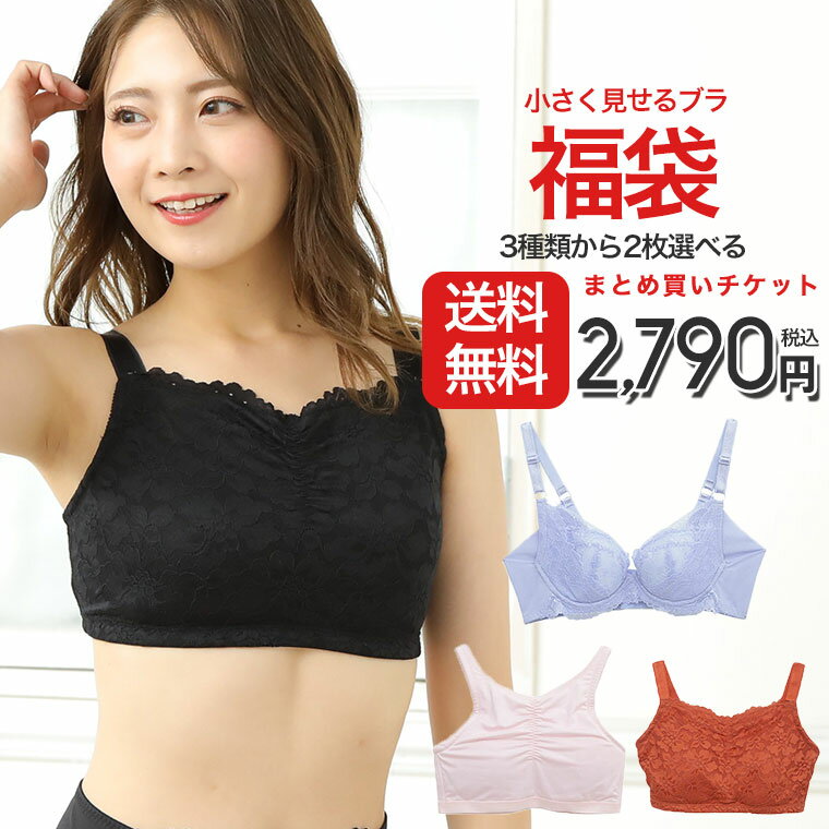 【送料無料★】 3つの中から2点セレクト 大きな胸を小さく見せるブラシリーズ まとめ買いチケット■ 対象商品と一緒に購入で2,790円になるまとめ買いチケット ■ 福袋 レディース 大きいサイズ 選べる福袋のサムネイル