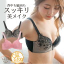 【送料無料★】 ブラジャー 大きいサイズ 下着 | 脇高・背中 スッキリ 美麗シルエット ブラ _ オリジナル インナー ブラ C D E F G 春 春物 春服 夏 夏物 夏服 ぽっちゃり ゆったり かわいい おしゃれ レース ボディメイク　[475016] 【下着】