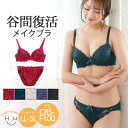 【4h限定全品20％オフクーポン】 【送料無料★】 ブラジャー 大きいサイズ 下着 | 新色追加!! 総レース モールド プチプラ ブラジャー ＆ ショーツ セット _ インナー ブラジャー＆ショーツセット 上下セット LL 3L 4L 5L 夏 バストメイク ぽっちゃり [6799] 【下着】