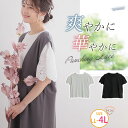 【限定!全品P5倍5/6 13:59まで】 大きいサイズレディース トップス | 五分袖 パンチングレース プルオーバー _ カットソー LL 3L 4L 夏 夏物 夏服 夏用 ぽっちゃり ゆったり カジュアル ナチュラル プラスサイズ お腹 半袖 袖レース 異素材切替 なめらか素材 [383631]