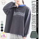 大きいサイズレディース トップス | 【選べるロゴ】これさえあれば秋〜冬のお出かけスタイルに迷わない スウェット _ オリジナル トレーナー LL 3L 4L ...