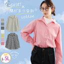 大きいサイズレディース シャツ | 春の彩り ラグランシャツ _ ブラウス トップス LL 3L 4L 5L 春 春物 春服 ぽっちゃり ゆったり 長袖 綿10...