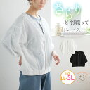 【限定!20%OFFクーポン配布】 大きいサイズレディース アウター | コットンレース ノーカラーブルゾン _ ジャケット LL 3L 4L 5L 春 春物 ...