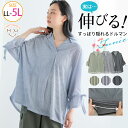 【限定!20%OFFクーポン配布】 大きいサイズ レディース トップス | 袖スピンドル 襟付き ストライプチュニック _ チュニック シャツ LL 3L 4L...