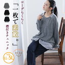 大きいサイズ レディース チュニック | 襟付き チュニック _ トップス チュニック LL 3L 4L 秋 秋物 秋服 冬 冬物 冬服 ストレッチ カットソー...