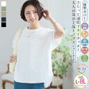 大きいサイズ レディース トップス カットソー プルオーバー LL 3L 4L 5L 6L 7L 8L バックのゴールドジップが背中で光って高級感「私のお気に入りトップス」