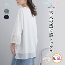 【4h限定全品20%オフクーポン】 大きいサイズ レディース トップス | ポンチ シアー使い プルオーバー _ カットソー 3L 4L 5L 6L 五分袖 春...