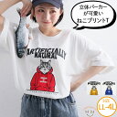 大きいサイズ レディース トップス | ネコプリント Tシャツ _ カットソー プルオーバー LL 3L 4L 半袖 夏 夏物 夏服 夏用 ぽっちゃり ゆったり...