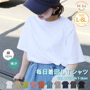 大きいサイズ レディース トップス | USA コットン100% ベーシック Tシャツ _ カットソー LL 3L 4L 5L 6L 7L 8L 半袖 夏 夏物...