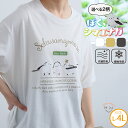 大きいサイズ レディース トップス | 【ぼく、シマエナガ】 選べる2デザイン 半袖 Tシャツ _ カットソー LL 3L 4L 半袖 夏 夏物 夏服 夏用 ぽ...