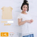 【限定!全品P5倍7/31 13:59まで】 大きいサイズ レディース トップス | 半袖 シュークリームスリーブ レース プルオーバー _ ブラウス 総レース...