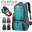 バックパック 大容量 80L リュック 登山 キャンプ 撥水 超軽量 ナイロン スポーツ パック レディース メンズ 5color 旅行 送料無料