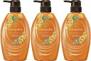 ココパーム トリートメント 本体 【×3個セット】 cocopalm 南国スパトリートメント 本体 480ml