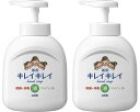 キレイキレイ 薬用液体ハンドソープ 本体 ポンプ 250ml 【2個セット】 ライオン(4)
