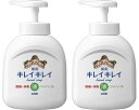 キレイキレイ 薬用液体ハンドソープ 本体 ポンプ 250ml 【2個セット】 ライオン