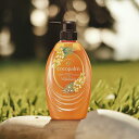 ココパーム トリートメント cocopalm 南国スパトリートメント 本体 480ml サラヤ saraya 無添加 フルーティーネロリの香り