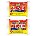 ホッカイロ ぬくぬく日和 貼る ミニ 10個入 【×2個セット】