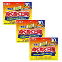 ホッカイロ ぬくぬく日和 はる 貼る レギュラー 30個入 【×3個セット】