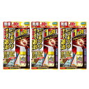ゴキブリ ワンプッシュ プロ 約80回分 20mL フマキラー ゴキブリ ワンプッシュ PRO トコジラミ 無煙タイプ 無香料 防除用医薬部外品 【×3個セット】