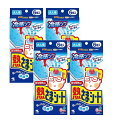 熱さまシート 冷却シート 大人用 6枚入 【×4個セット】 まとめ買い 発熱 頭痛 冷やす 貼る(4)