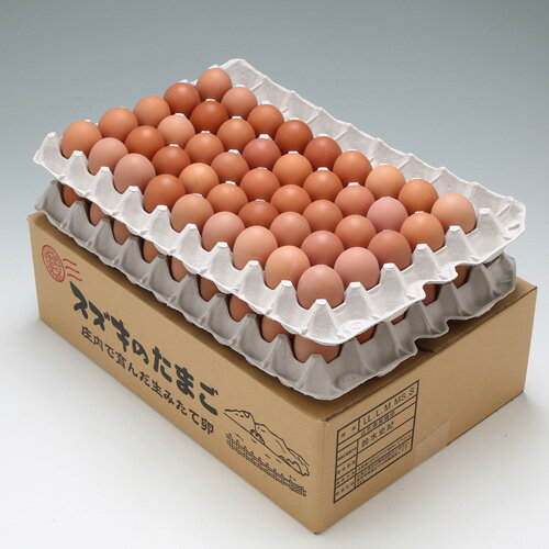 庄内町産 スズキの地養卵 約5kg(80~90個)【同梱不可】