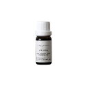 【8月30日限定クーポン】ZEN ブレンドエッセンシャルオイル 10ml yin-yang|| ZEN 禅 アロマ エッセンシャルオイル 和の香り ブレンドオイル 芳香浴 瞑想 メディテーション ヨガ