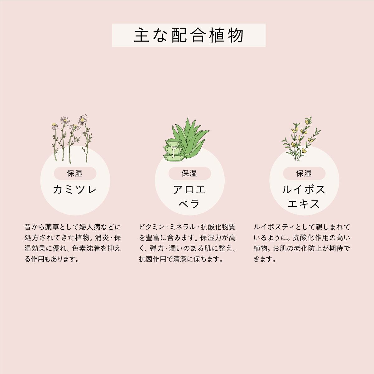 Pubicare organic �ե��ߥ˥󥳥åȥ󥷡���̵���� 20�祻�å�| �ԥ�ӥ����������˥å� �ե��ॱ�� �ǥꥱ���ȥ����� �������˥å�