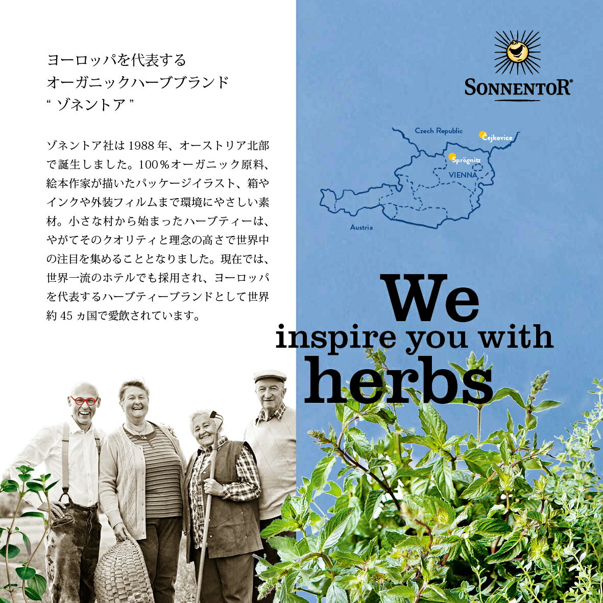 �ڥޥ饽�󥯡��ݥ��P5�ܡۥ��ͥ�ȥ� �륤�ܥ��ƥ��� 18������|| SONNENTOR ���ͥ�ȥ� �ϡ��֥ƥ��� ���ե�����ե꡼ �ɥ��� �������˥å�