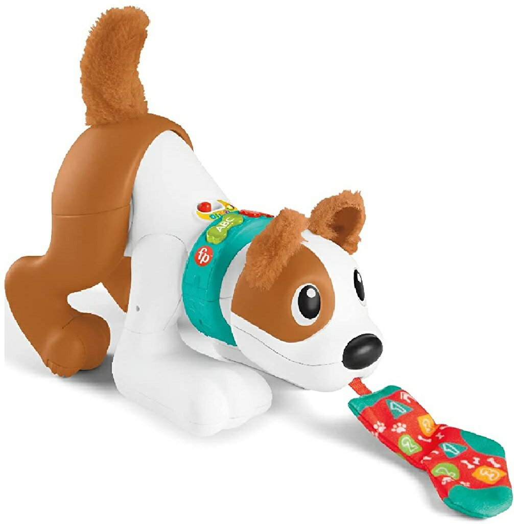 フィッシャープライス こいぬと一緒においかけっこ! バイリンガル・パピー HGY01のサムネイル