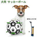 犬 おもちゃ ボール 15cm ポンプ付き 犬用サッカーボール 知育玩具 耐久性 耐噛み トレーニング インタラクティブ 中小型犬 運動不足解消