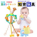 ひもおもちゃ 五感シゲキット 歯固め モンテッソーリ おもちゃ 赤ちゃん 知育おもちゃ 指先訓練 指先遊び 集中力 色認識 指先トレーニング 五感 紐 おもちゃ...