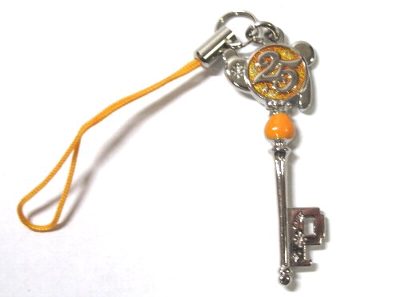 ディズニーリゾート限定　ドリームキー　ストラップ