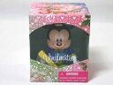 ディズニーリゾート限定 Vinymation 2013 ミッキー