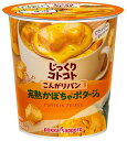 【12個セット】ポッカサッポロ フード&ビバレッジ じっくりコトコトこんがりパン完熟かぼちゃポタージュ 34.3g×12※日時時間指定不可の商品です 詳しくは商品説明にて