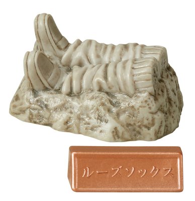 近代の化石 ルーズソックス