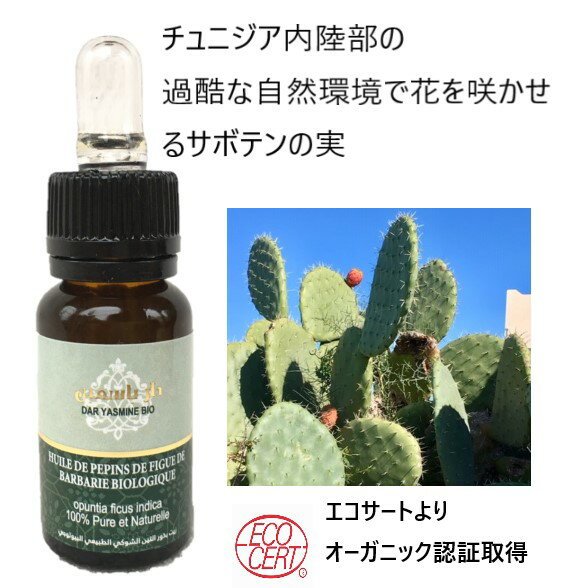 商品情報商品説明サボテンオイル 15ml　Huile de Pepins de Figue de Barbarieチュニジアの内陸部で自生しているサボテンはサハラ砂漠近くの乾燥した過酷な環境ゆえに、生命力が強く保水力が高いです。1年に1回し...