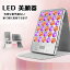 「送料無料」LED 美顔器 フォトフェイシャル 美顔器 リフトアップ 光美容器美顔器 リフトアップ LED美顔器 ニキビ ニキビ跡 光エステ エイジングケア 美容家電＜LED光エステがご自宅で！＞＼送料無料／