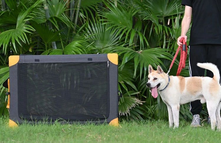 ペットキャリー バッグ 折りたたみ 犬 大型犬 中型犬 Lサイズ 81×59×59cm 手提げ バッグ 大きい 手持ち メッシュ 通気性 ファスナー 持ち手 便利 飛び出し防止 マット お手入れ簡単 小物入れ オールシーズン 耐荷重 35kg 旅行 移動 病院 外出 遠出 3